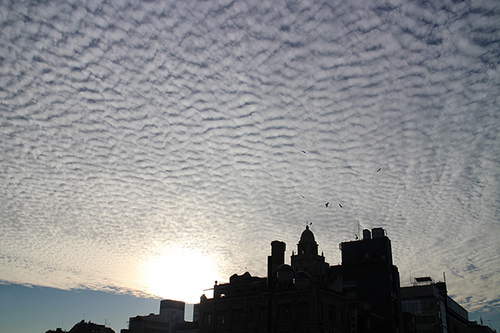 12・9sunset.jpg