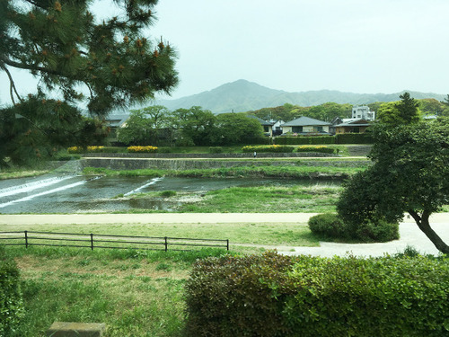 18417sonoda1.jpg