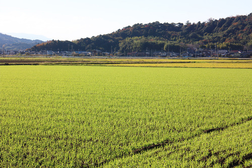 18_11_24_tottori12.jpg