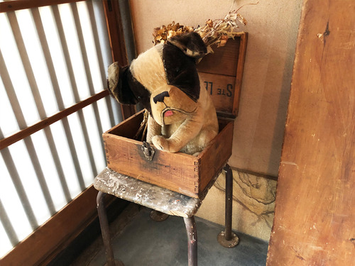 19_5_20_mayurau_shimogamo2.jpg