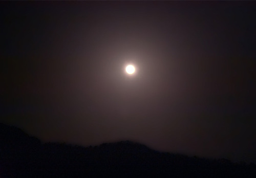 2018331bluemoon.jpg