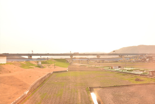 201841hoshino8.jpg