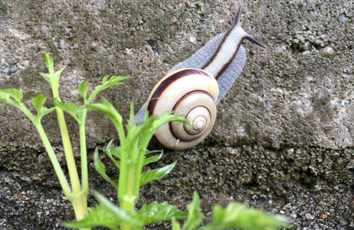 2018_7_6_7.jpg