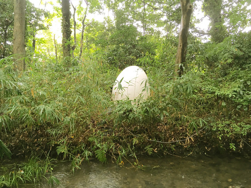 2018_8_summer_14.jpg