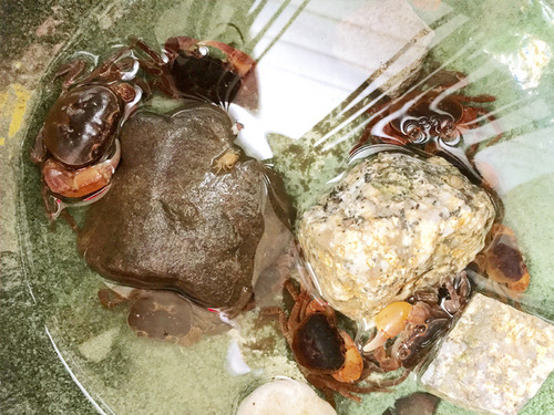 2018_8_summer_9.jpg