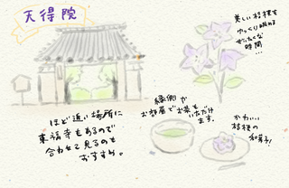 天徳院_20190711-042435.png